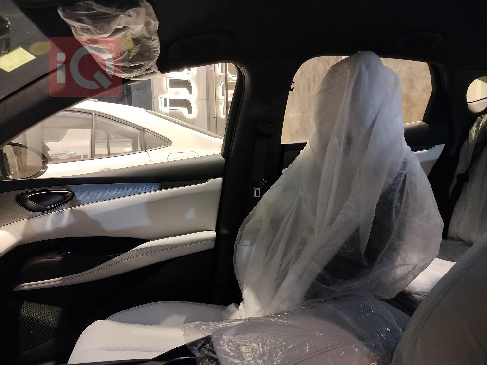 بي واي دي سيليون 06 DM-i